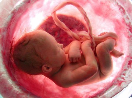 7 coisas que os bebês podem fazer no útero e você não sabia