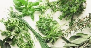 5 maneiras inusitadas de usar ervas frescas em suas receitas