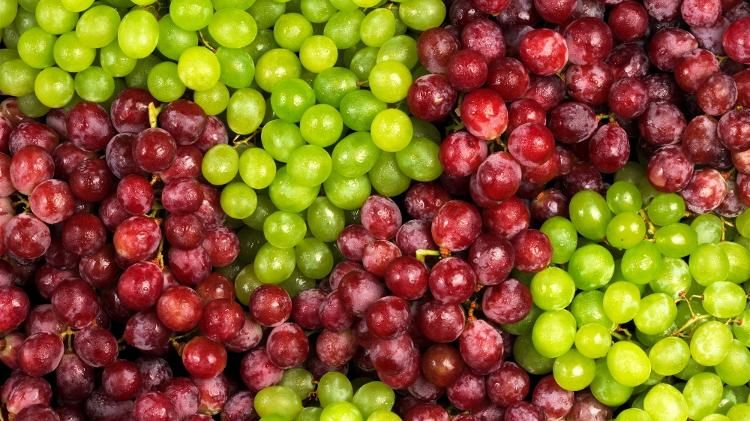 Vinho sem gelo