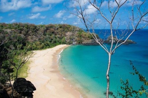 Praias do nordeste: veja destinos incríveis para aproveitar o verão na região